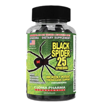 Black Spider